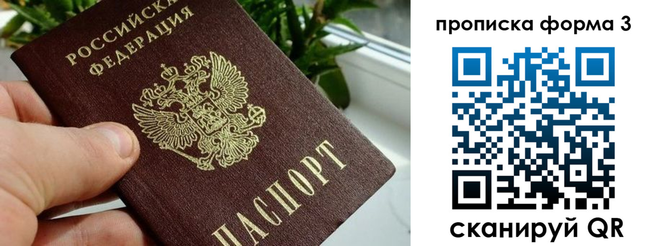 прописка паспорт в Белово